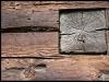 Simply wood